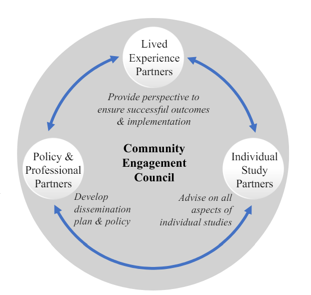 Picture of the IHEAL Community Engagement Council Flowchart